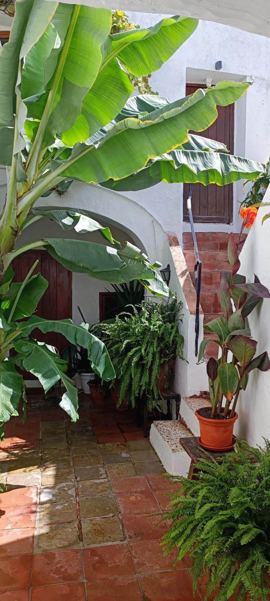 The Best In The Center Of Tarifa Exterior foto